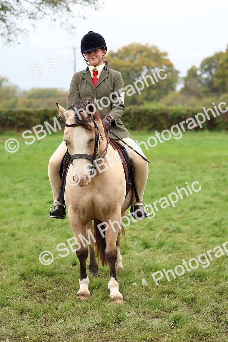 SBM_69625 - S62 - Mountain & Moorland Ridden Large Breeds