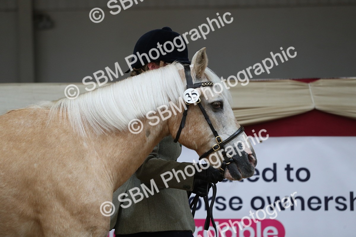 SBM_04291 - Class 7R Regional - IH Diamond