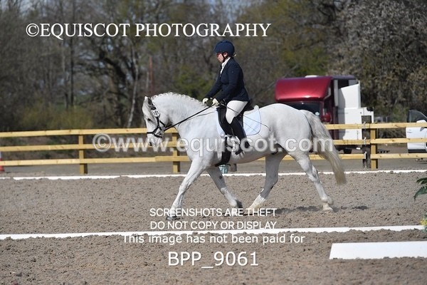 BPP_9061 - ELEM 1/2