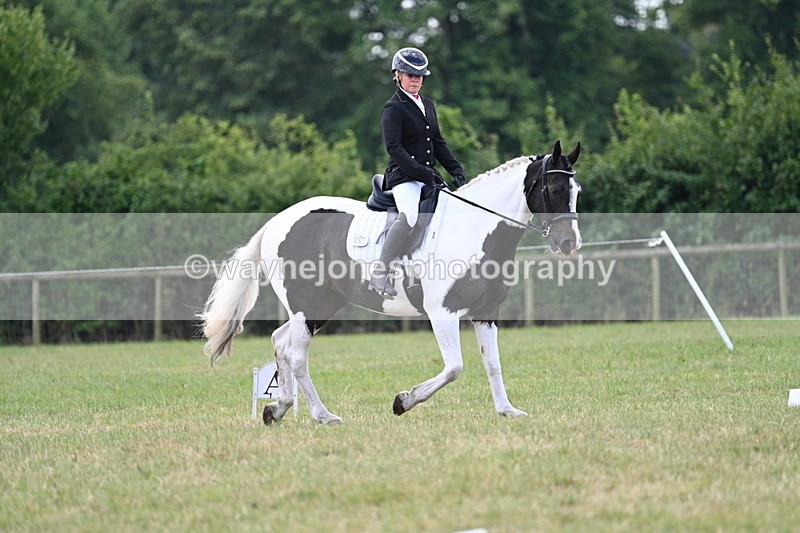 WJ7_5231 - Time 11:22 to 11:51