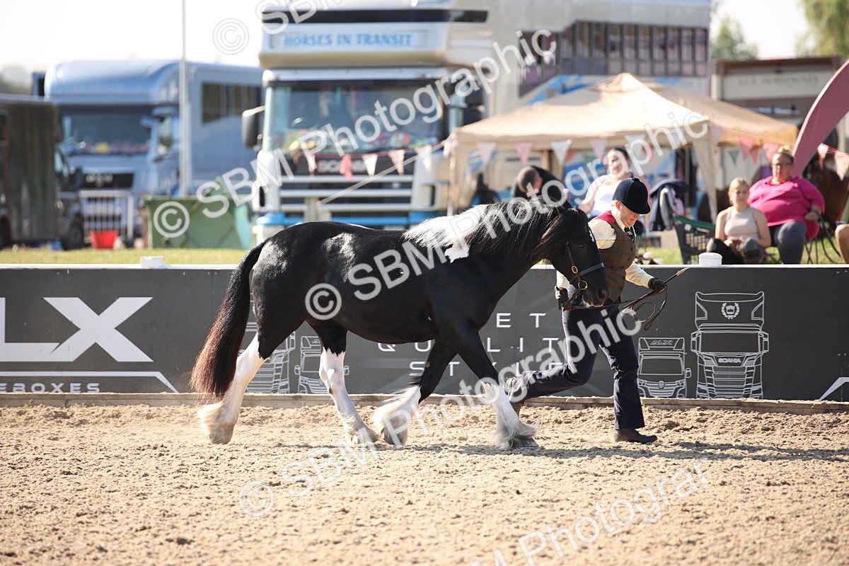 SBM_01477 - Class 15 IH Coloured