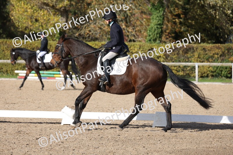 20251101-0640 - Class 5 - Novice 3