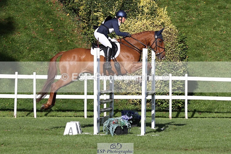 231022-103305-24598 - 656-DUNARD.RED.KNIGHT-Naomi.Watkins-TrotUp+SJ