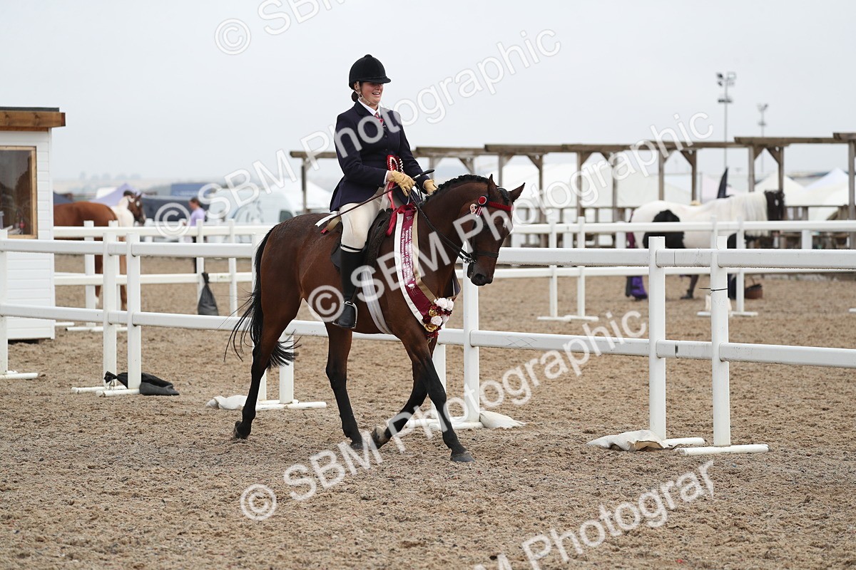 SBM_21684 - Class 602 - 2025 Area - Ridden Veteran