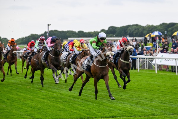 120724-Race 1-Tolstoy-5608 - Race 1 2.05pm William Hill Extra Place Races Daily Handicap