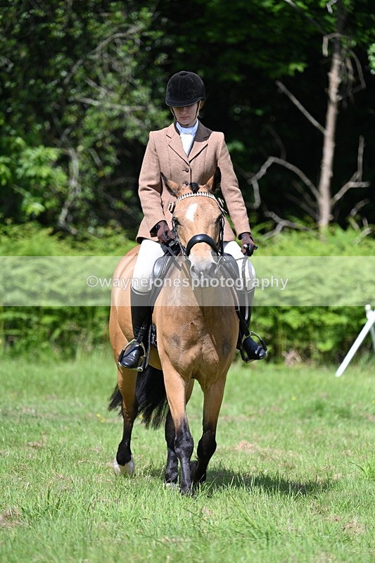 WJ7_1166 - Class 11 Condition & Turnout