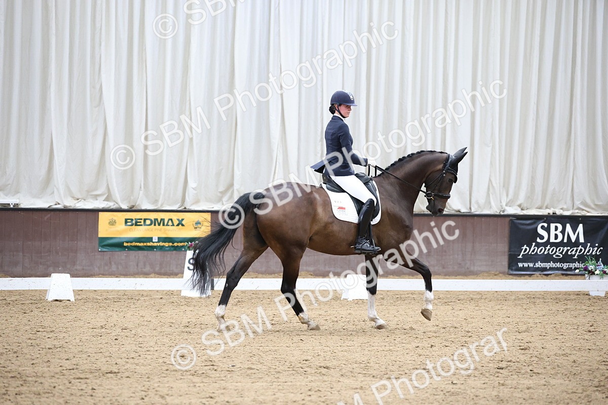 SBM_003381 - Class 5 - Novice 6 Gold - 13.05-14.00