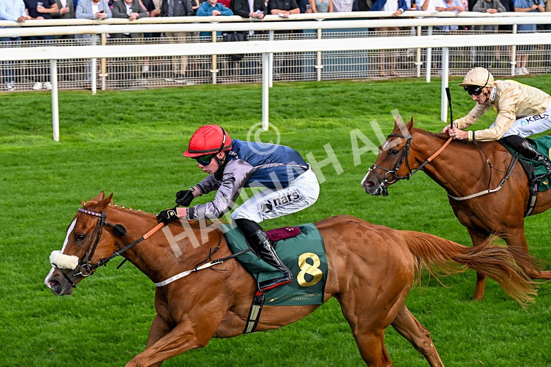 190826-Race 6-Miss Yechance-0736 - Race 6 16.45pm Irish Thoroughbred Marketing Handicap