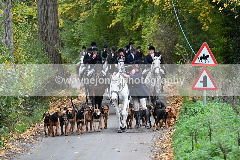 WJ7_7116 - Walk Home..