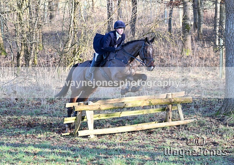 WJ7_2595 - Edited examples