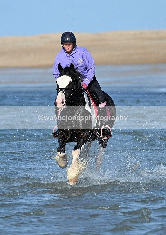 WJ7_3127 - Kellie & Churchill ... do Hayling Island 25-08-24