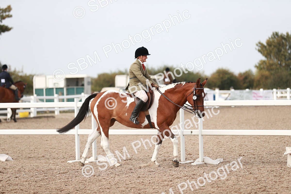 SBM_17432 - Class 215 Ridden Hack/ Riding Horse
