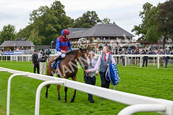 220824-Race 4-Content-7461 - Race 4 3.35pm Pertemps Network Yorkshire Oaks