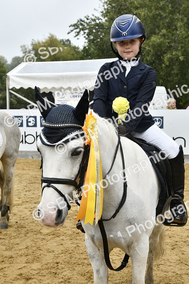 SBM_71047 - J3 - Mini Tour Junior Pony 40cm championship