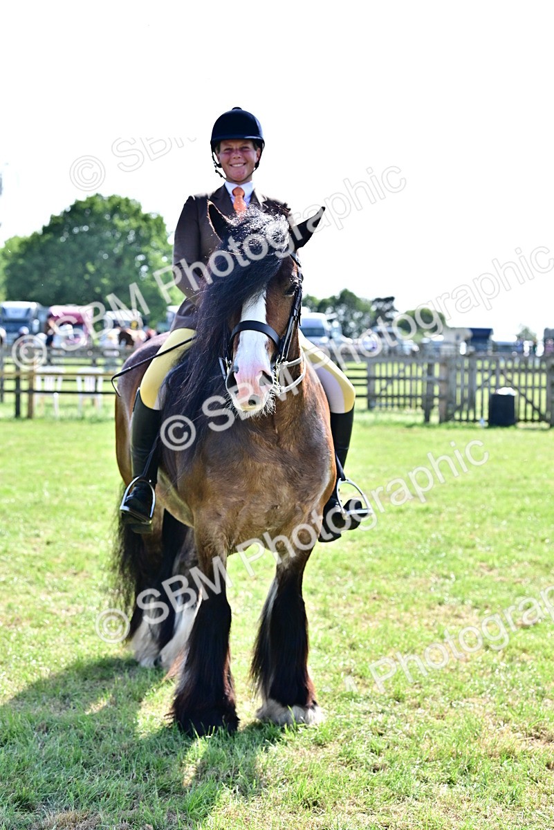 SBM_09502 - Class 63-65 - Traditional Gypsy Cobs In Hand & Ridden