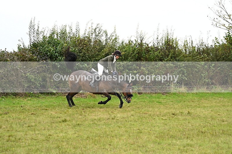 WJ7_4268 - Camera 1 Line 2