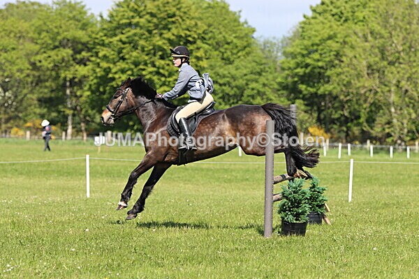 IMG_4534 - Working Hunter