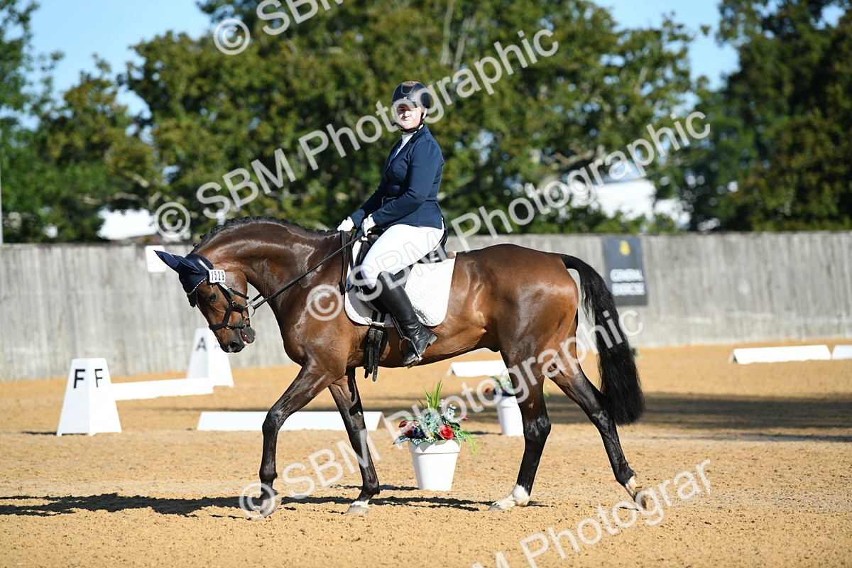 SBM_16171 - D4 - Small Tour Championship - Intro B