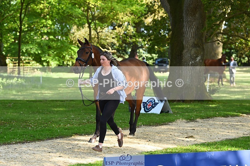 230524-164748-01090 - 115-RNH_ULTIMATE-Harriet_Wright-WEDTrotUp+DR