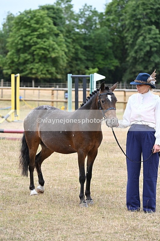 WJ6_8203 - Class 10 Coloured in Hand