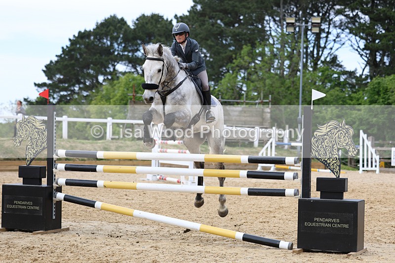 3E7A7547 - Class 8: Senior Foxhunter/1.20 open