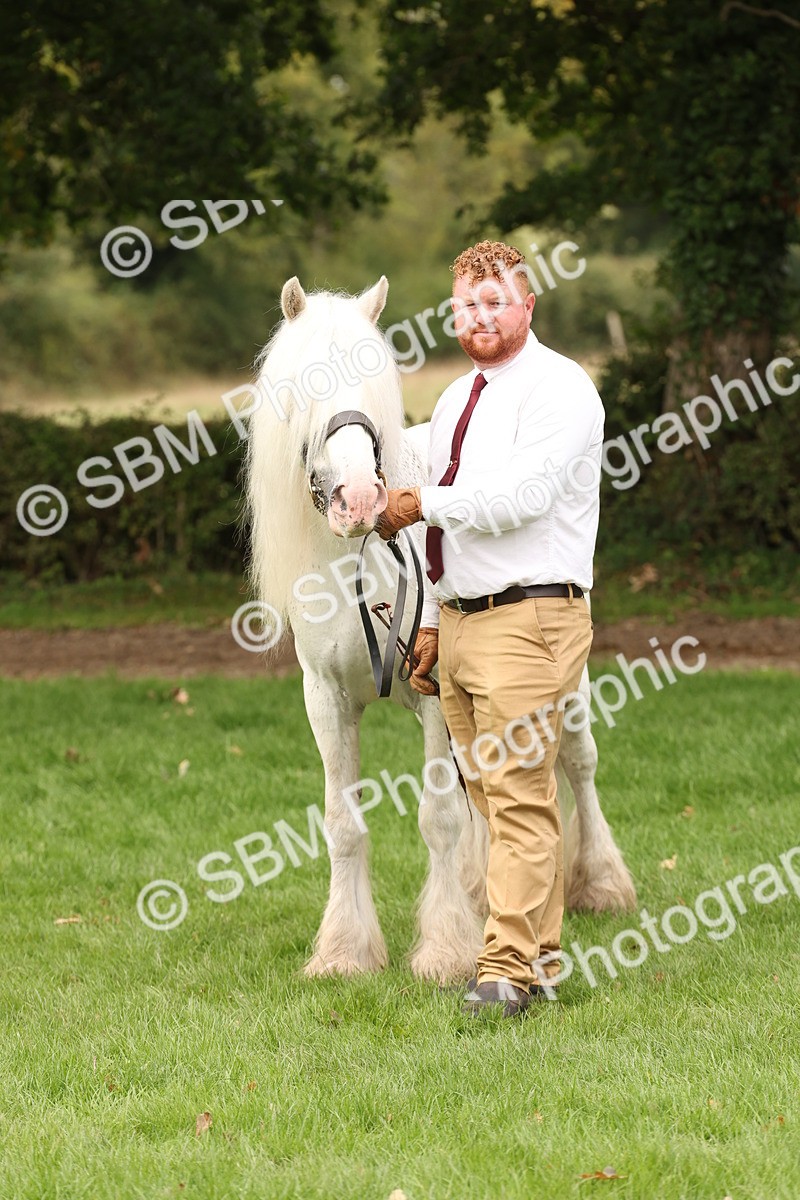 SBM_59322 - S57 - Traditional Cob In Hand
