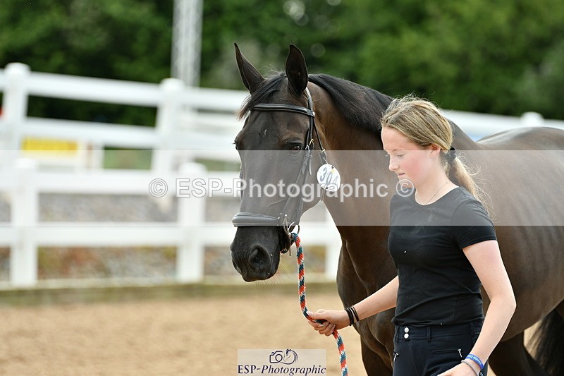 230719A-160328-01086 - Trot Up 4pm to 5pm