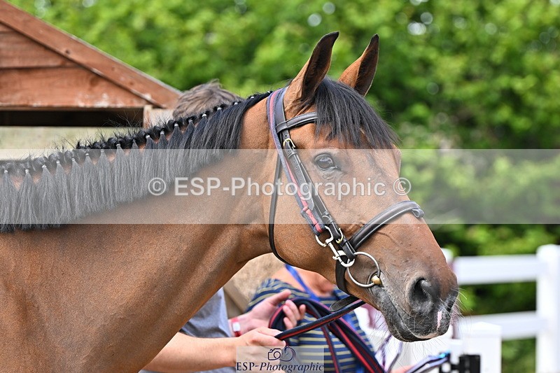 240718A-105255-01338 - Trot Up 12pm to 1pm