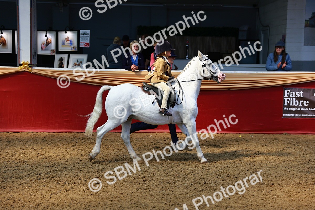 SBM_12811 - HOYS Veteran Qualifier - Ridden Champ