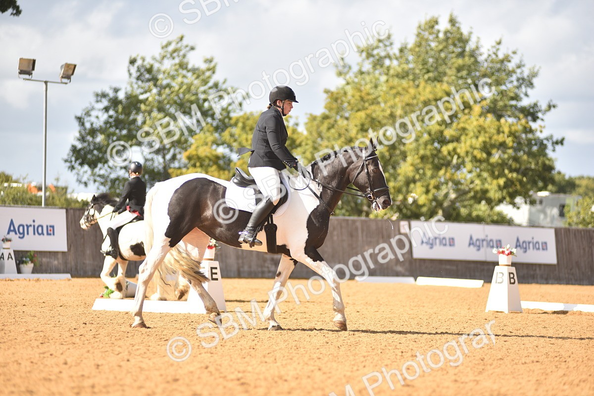 SBM_24303 - D4 - Small Tour Championship Intro 4