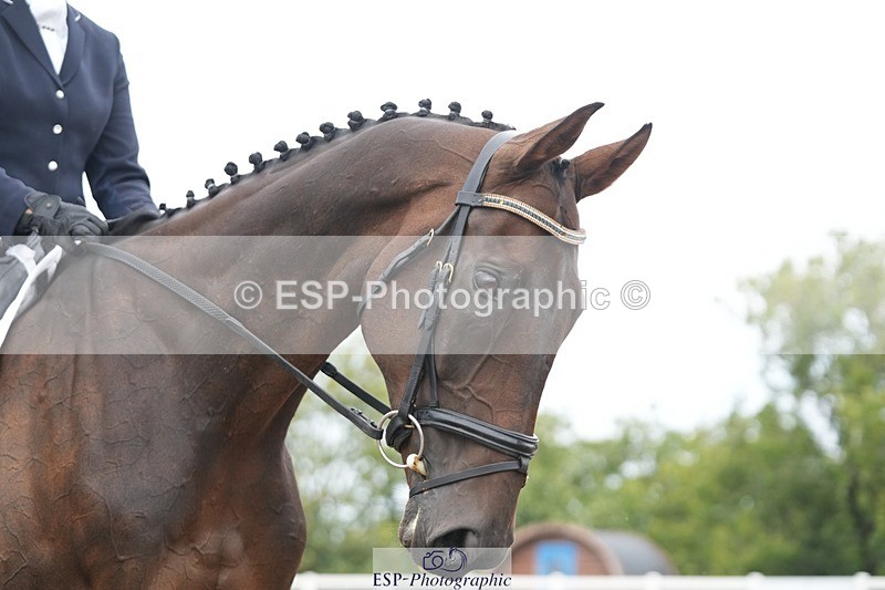 250907-124350-07401 - 097-Jude.FarrLoch.Arthur