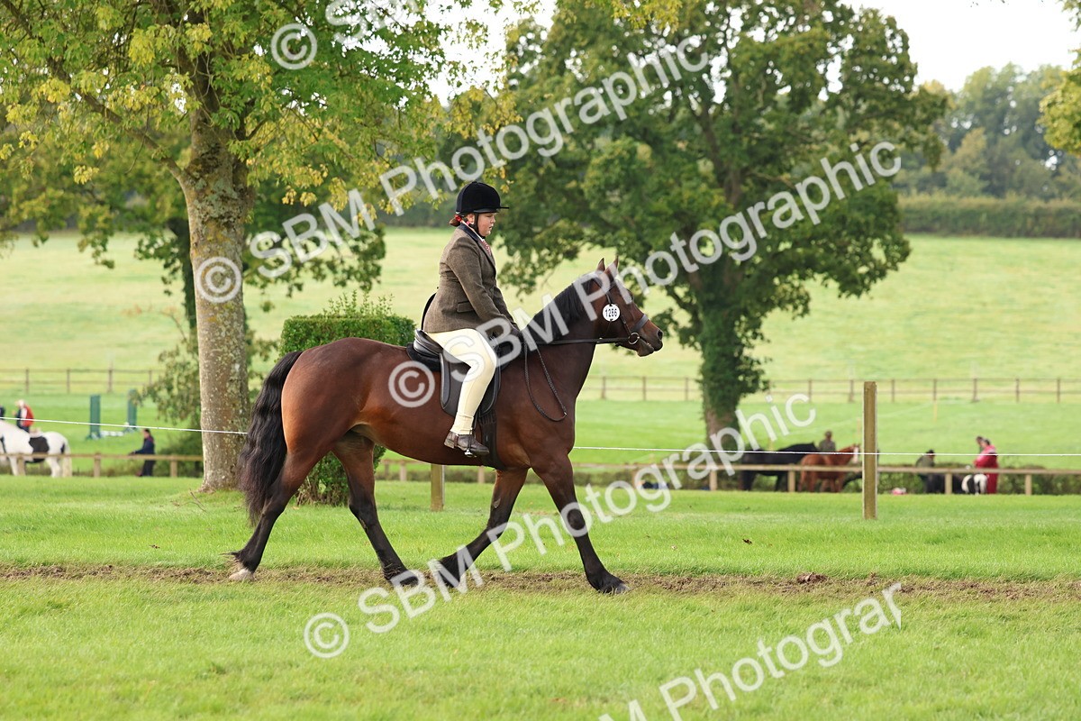 SBM_56558 - S40 - Starters Ridden Showing