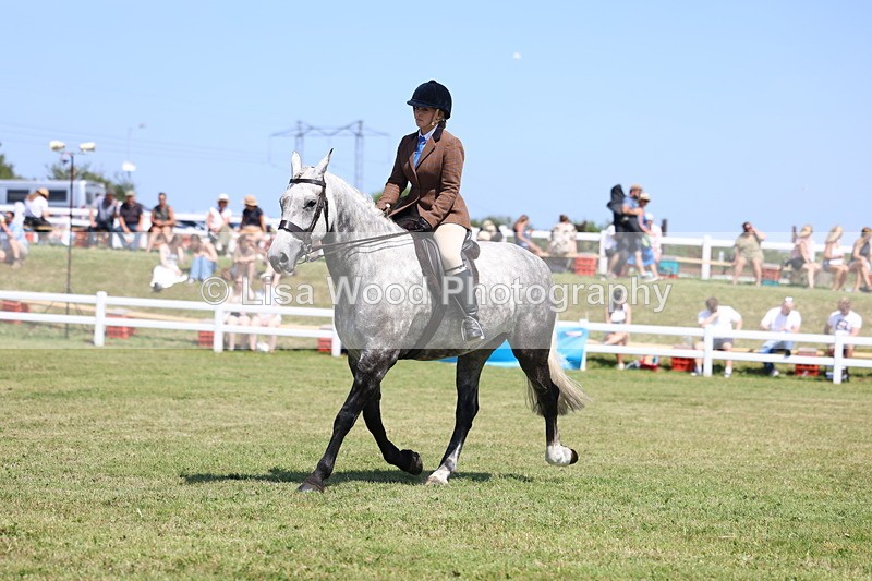 3E7A8204 - Class 9A: Open Small Hunter