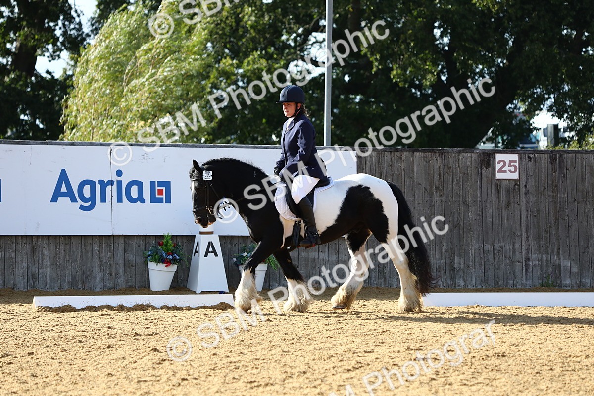 SBM_26783 - D11 - Small Tour Championship Prelim 1