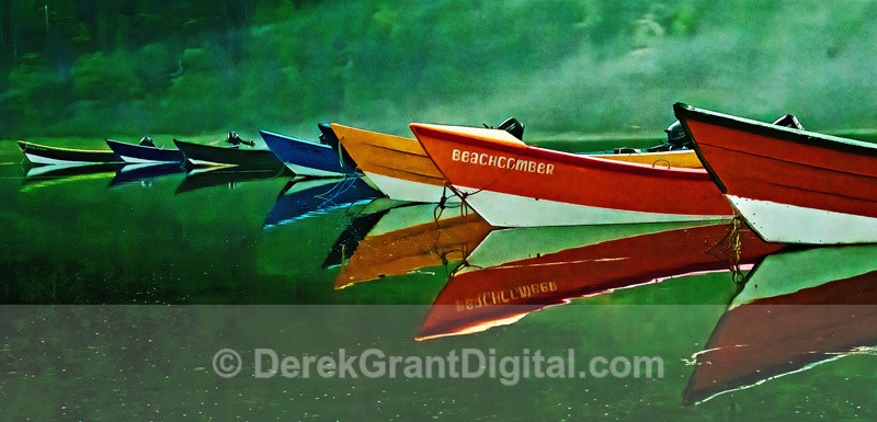 Dulse Dories - Grand Manan