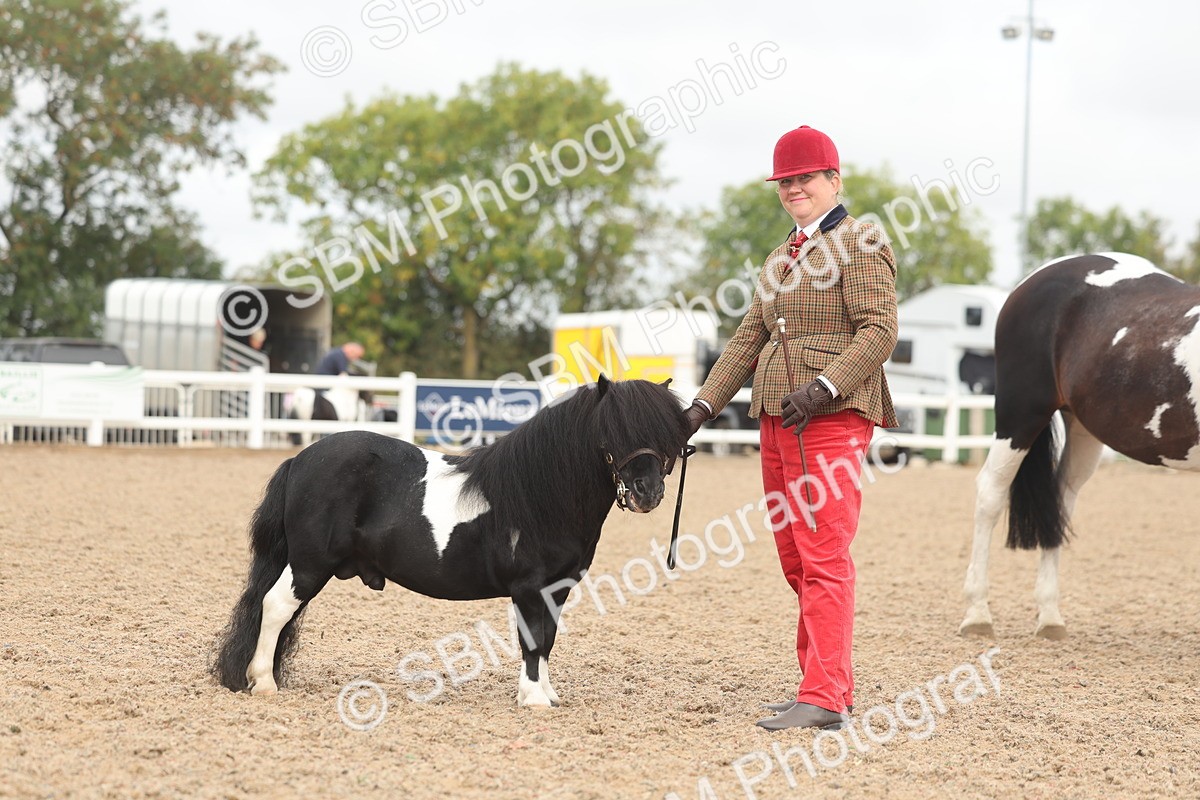 SBM_02123 - Class 15 - IH Coloured