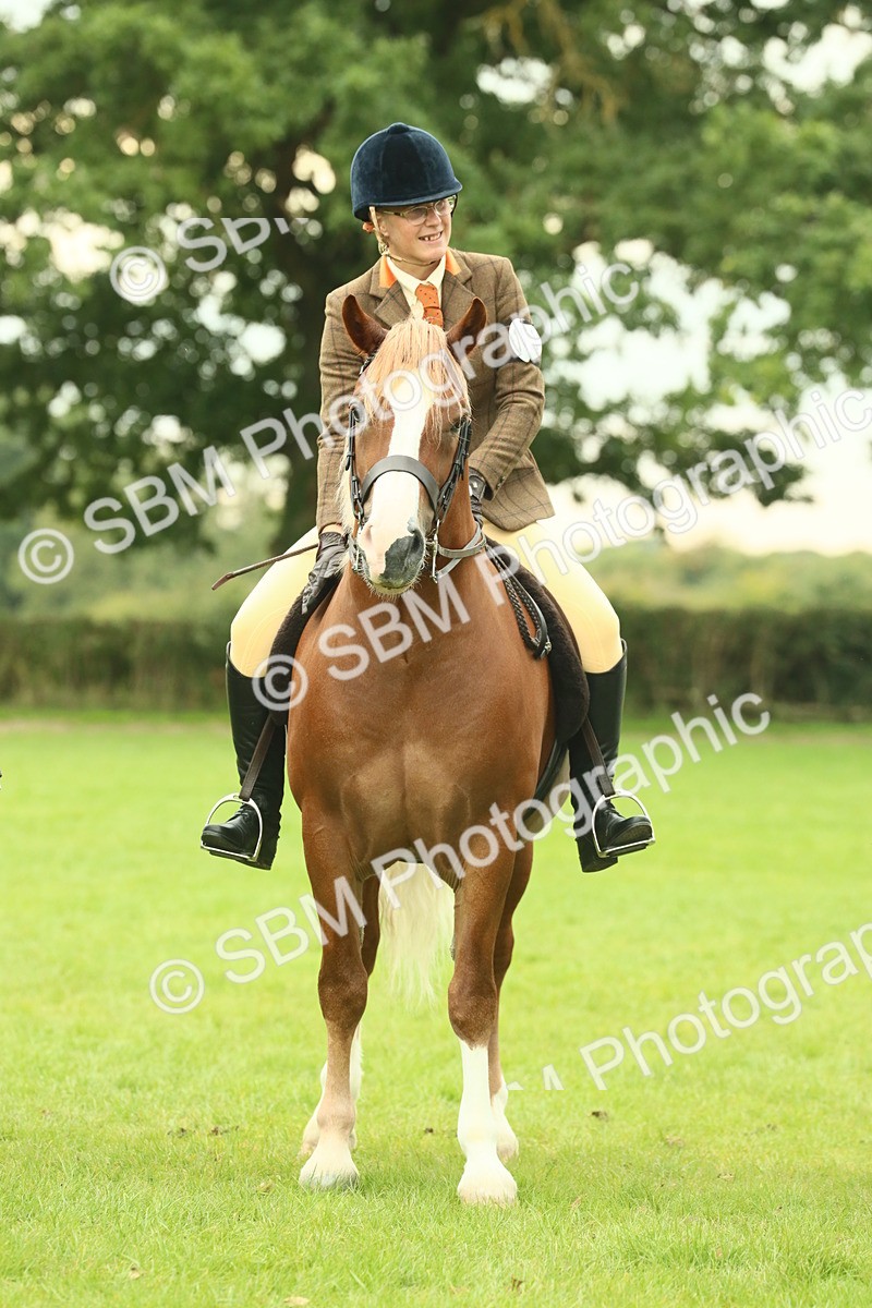 SBM_72192 - S60 - Mountain & Moorland Ridden Large Breeds
