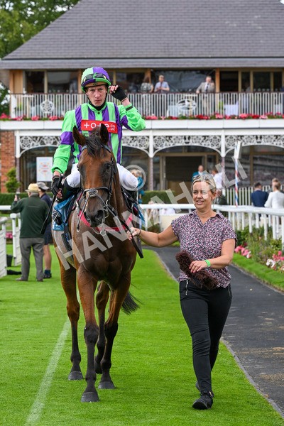 260725-Race 6-Billyb-0848 - Race 6 4.25pm Sky Bet Go-Racing-In-Yorkshire Summer Festival Handicap