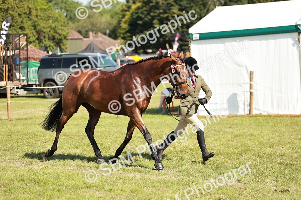 SBM_18915 - Class 114 - RIHS & SEIB Open Working Show Horse