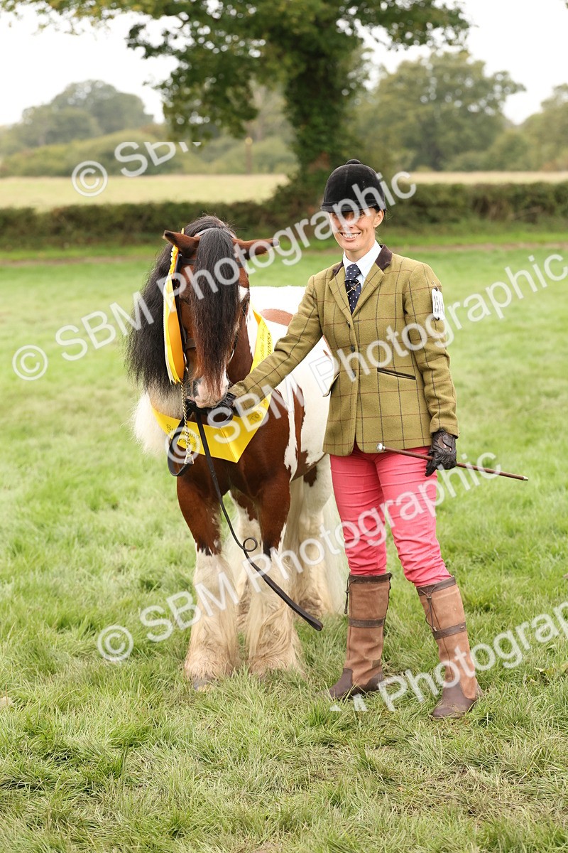 SBM_59362 - S57 - Traditional Cob In Hand