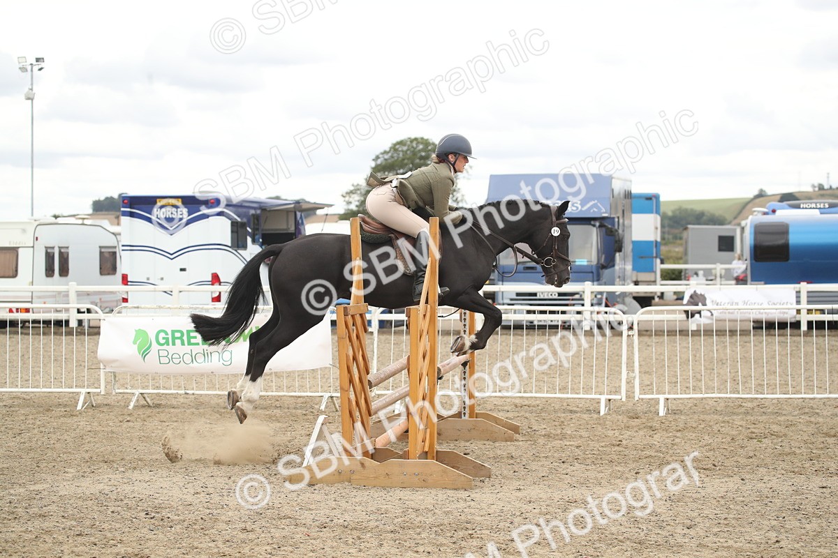 SBM_18298 - Class 509a - Working Veteran - 80cm (15-19)