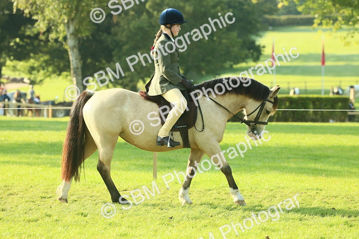 SBM_59130 - S38 - Starters Ridden Showing