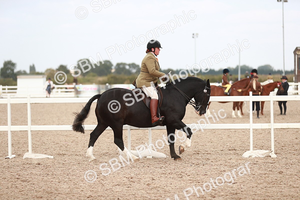 SBM_16670 - Class 214 Ridden Cob