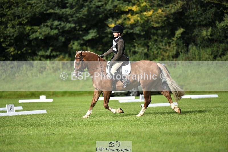 230826-091246-15052 - Sections C & D 9 to 10am