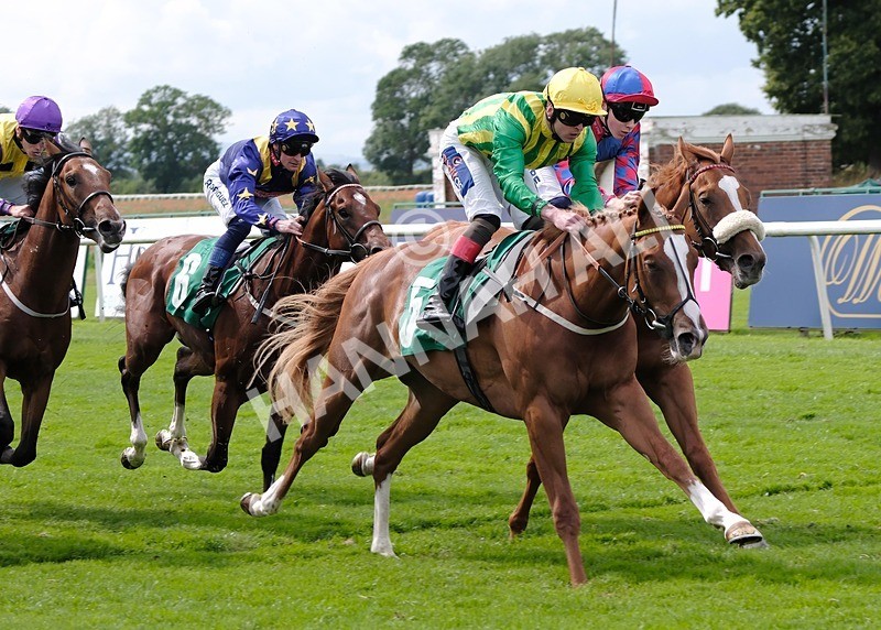 260724-Race 3-Lovat Scout-05 - Race 3