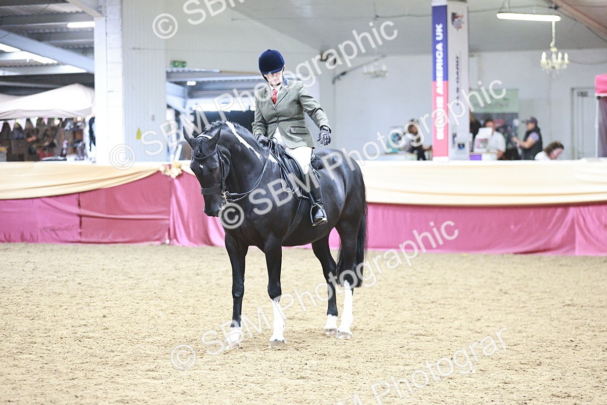 SBM_08981 - Class 12R - Regional Ridden Pre-Vet