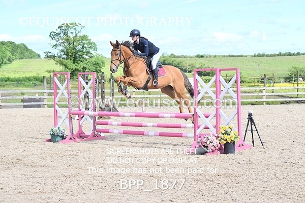 BPP_1877 - CLASS 17 SUN Club 80cms Open