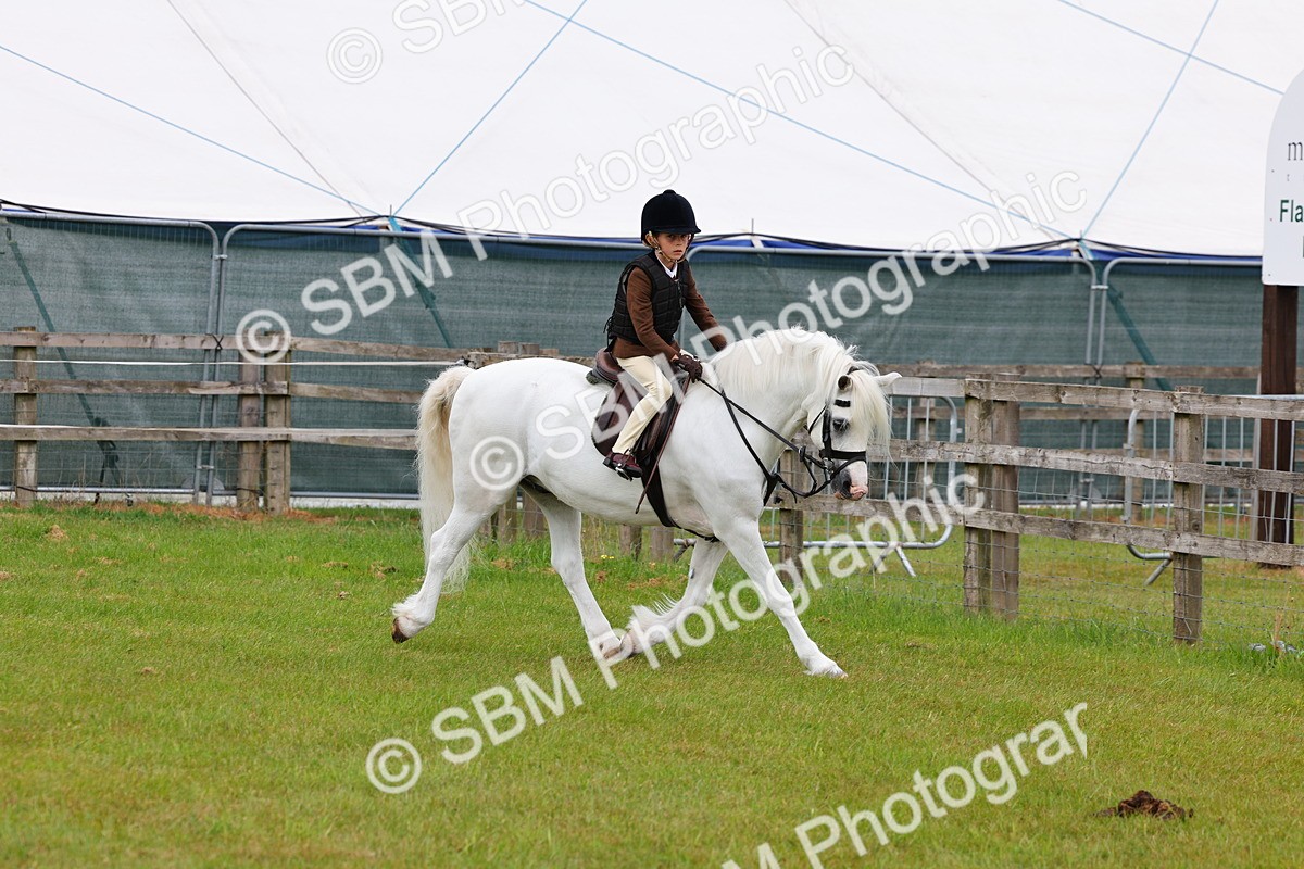 SBM_08470 - Class 42-43 - LIHS BSPS Heritage Working Sports Pony