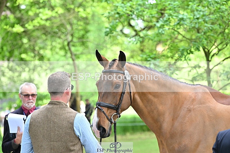 250521A-152549-00504 - B-312-Mark.Davidson-THE.BOSSMAN