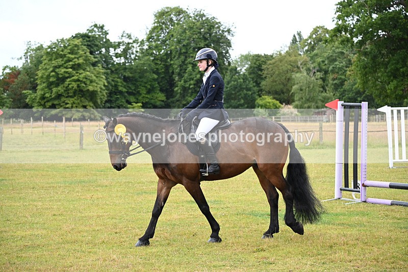 WJ6_8654 - Class 9 Tack & Turned out